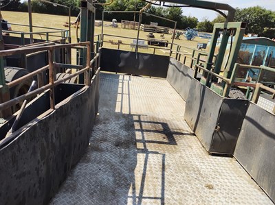 Lot 453 - Stock Trailer 24ft x 8ft (Metal Floor well maintained) will hold 18 to 20 sows