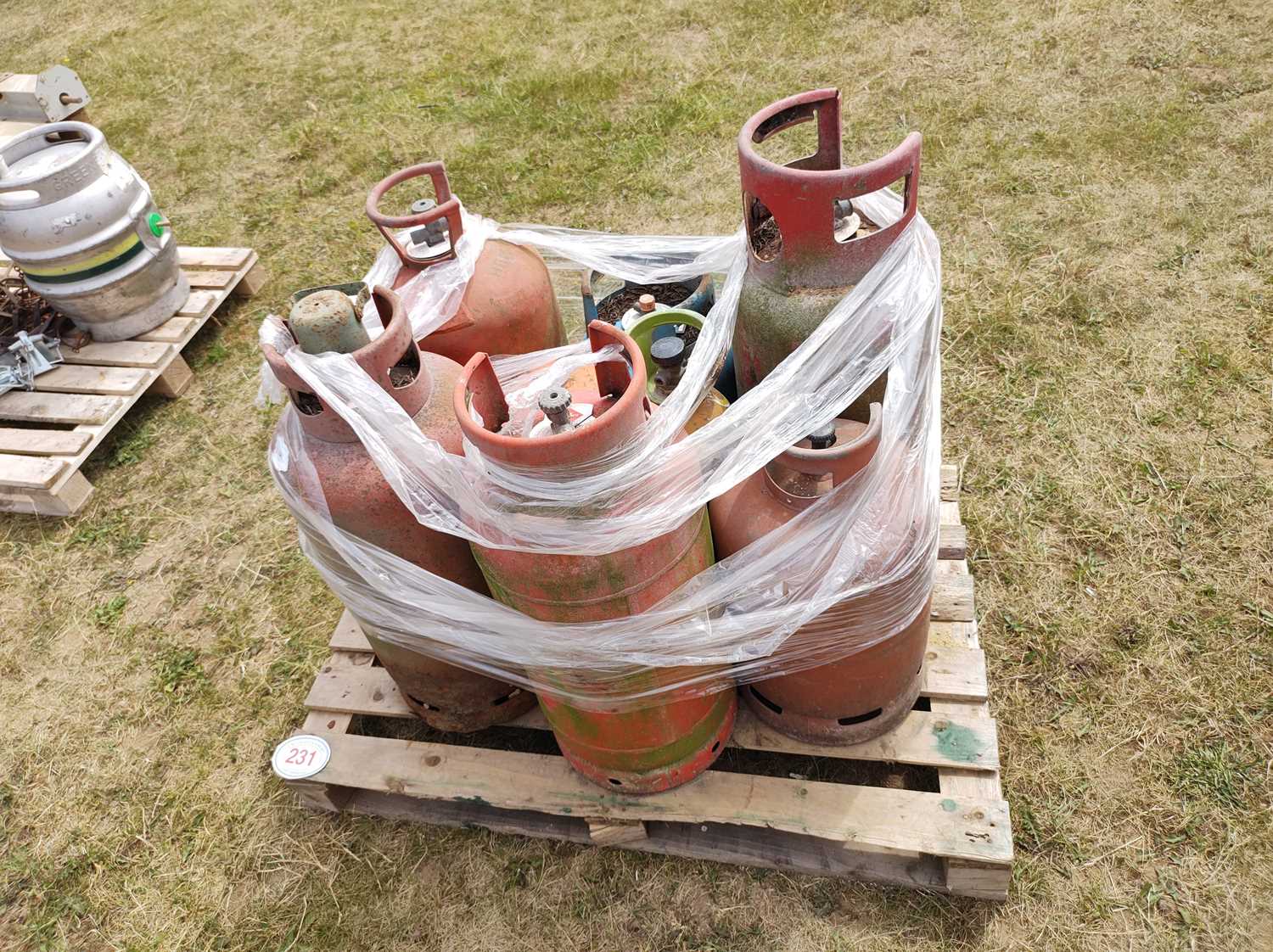 Lot 231 - Pallet of Gas Cylinders