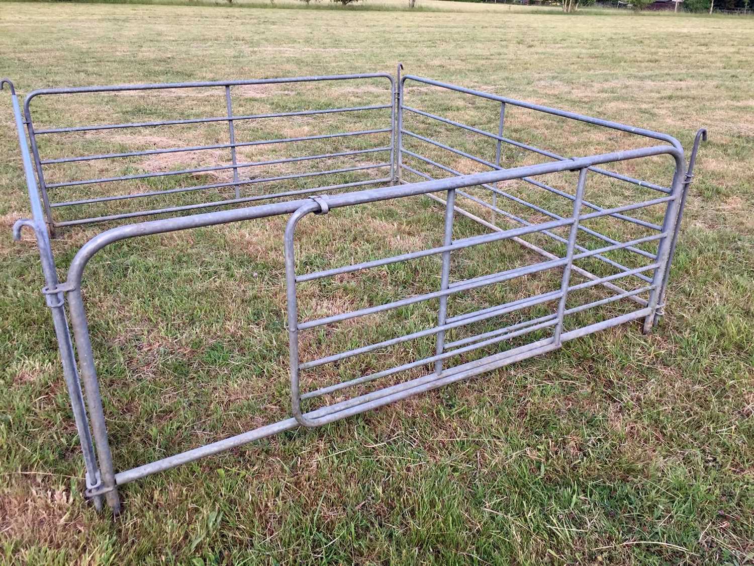 Lot 25 - 8ft Galvanised sheep hurdel c/w sliding gate
