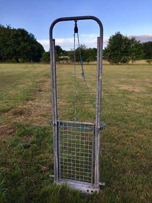 Lot 30 - Sheep guillotine gate