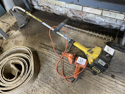 Lot 31 - Strimmer and Handheld Electric Hedge Cutter