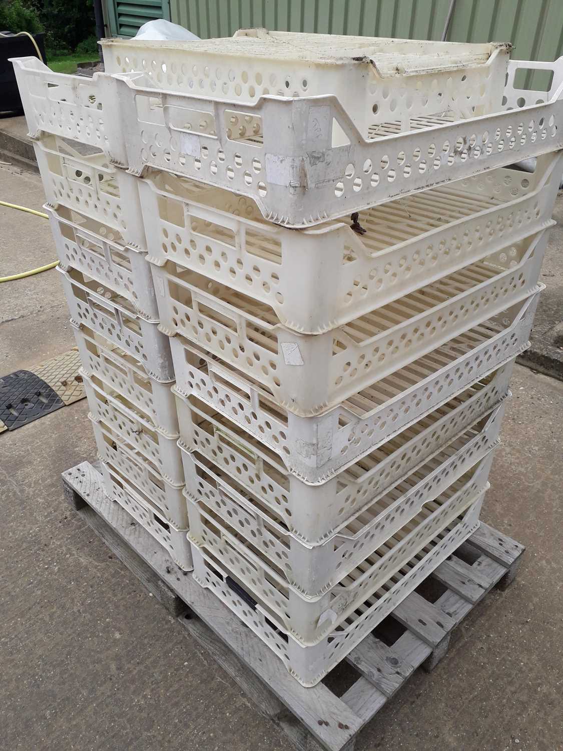 Lot 699 - 20 White Plastic Stacking Trays