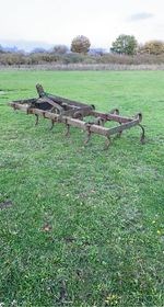 Lot 248 - Spring Tine Cultivator