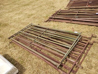 Lot 165 - 5 x Sheep Hurdles