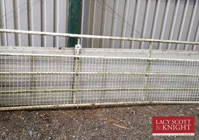 Lot 34 - 12ft metal gate (Located in Euston, Thetford)...