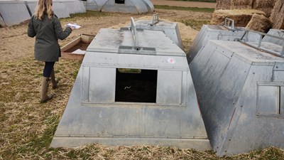 Lot 18 - 2 x John Booth insulated galvanised kennel...