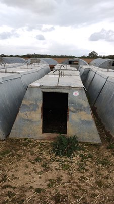 Lot 21 - 5 x John Booth insulated galvanised kennel...