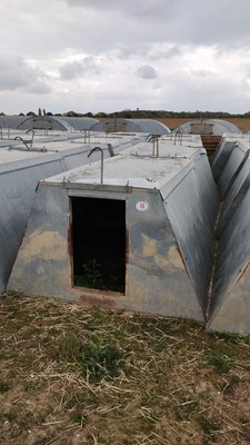 Lot 23 - 5 x John Booth insulated galvanised kennel...