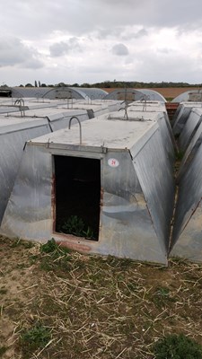 Lot 24 - 5 x John Booth insulated galvanised kennel...