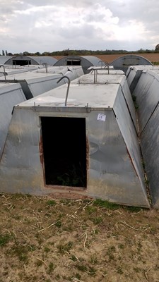 Lot 28 - 5 x John Booth insulated galvanised kennel...