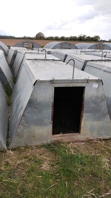 Lot 30 - 5 x John Booth insulated galvanised kennel...