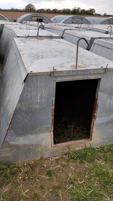 Lot 31 - 5 x John Booth insulated galvanised kennel...