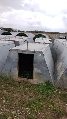 Lot 35 - 4 x John Booth insulated galvanised kennel...