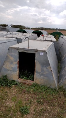 Lot 36 - 4 x John Booth insulated galvanised kennel...