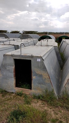 Lot 38 - 4 x John Booth insulated galvanised kennel...