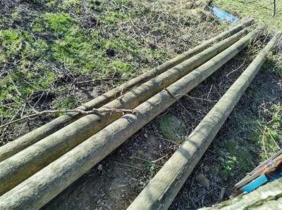 Lot 64 - 4x 8m Telegraph Poles